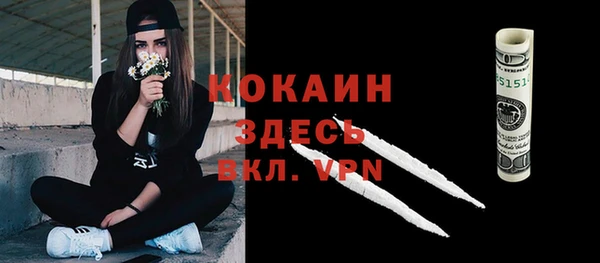 гашик Балахна