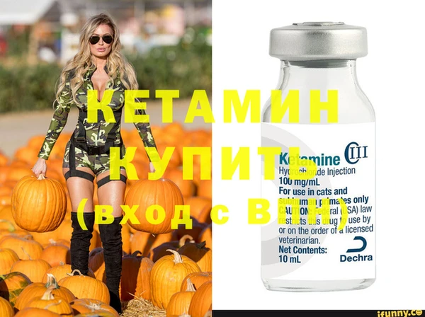 стаф Баксан