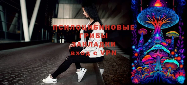 стаф Баксан