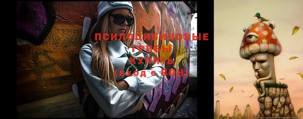 гашик Балахна