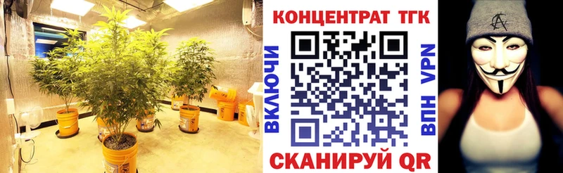 ТГК THC oil  закладки  Печора 